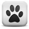 Captcha image 2281